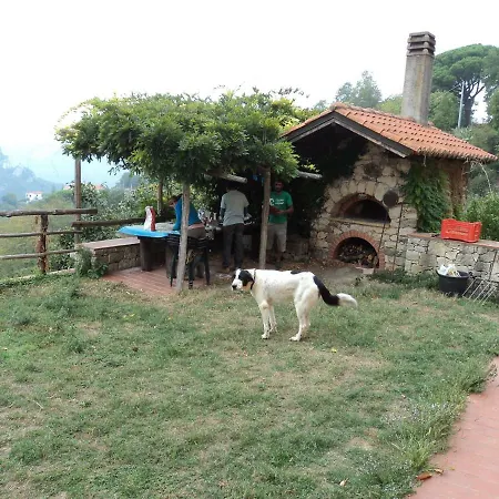 Il Frutteto Di Kike